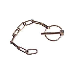 borgpen met ronde clip RVS Ø6mm